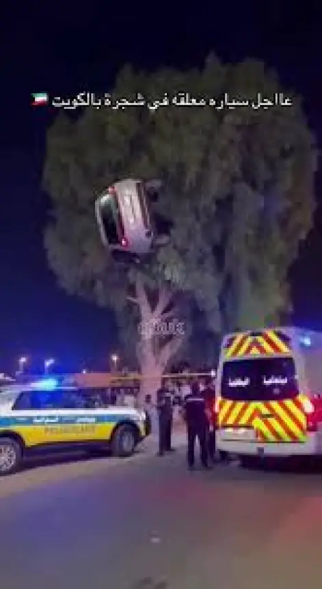 أغرب حادث سير 2025..سيارة معلقة فوق شجرة على طريق الدائري